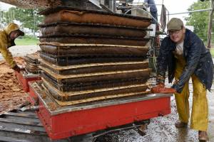 Patrice OLIVIER - PATRICE OLIVIER